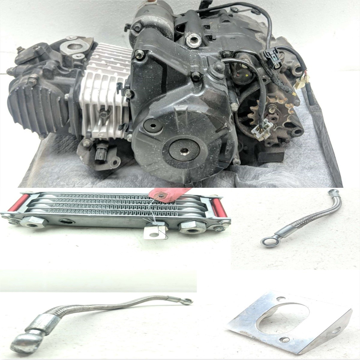 19 Honda Grom 125 Engine Motor GUARANTEED w/ MORIN Oil Cooler Kit