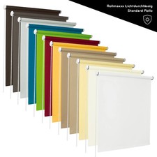 Tenda a rullo standard traslucida tenda a trazione laterale trazione a catena luce diurna protezione visiva