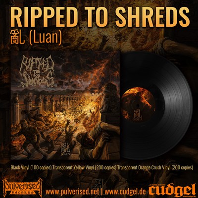 RIPPED TO SHREDS - luan LP black