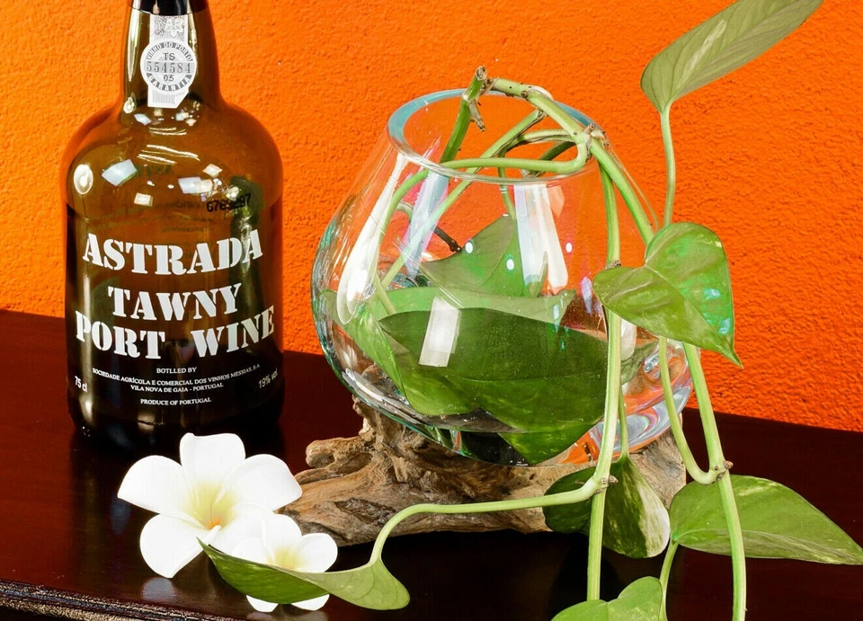 Geschmolzenes Glas auf Wurzelholz Bali Vase Glasschale Blumenvase Teak Holz Deko - Bild 3 von 3