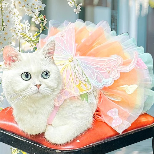 Princess Pet Puppy Dresses Big Butterfly Decor Small Dogs Clothes Embroidered - Picture 2 of 21