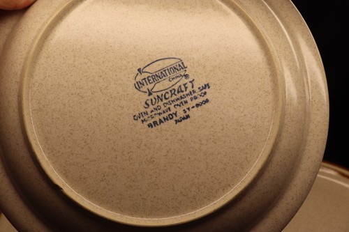 Vtg International China Suncraft Stoneware Set of 5 Brandy Dinner Plates 10 7/8" - Picture 5 of 5