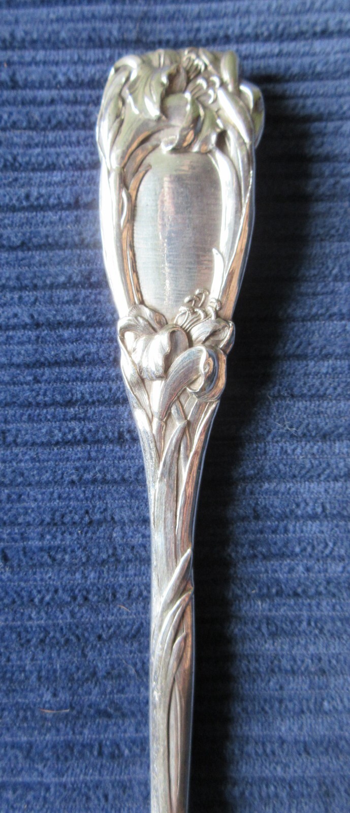 Picture 5 of 6
