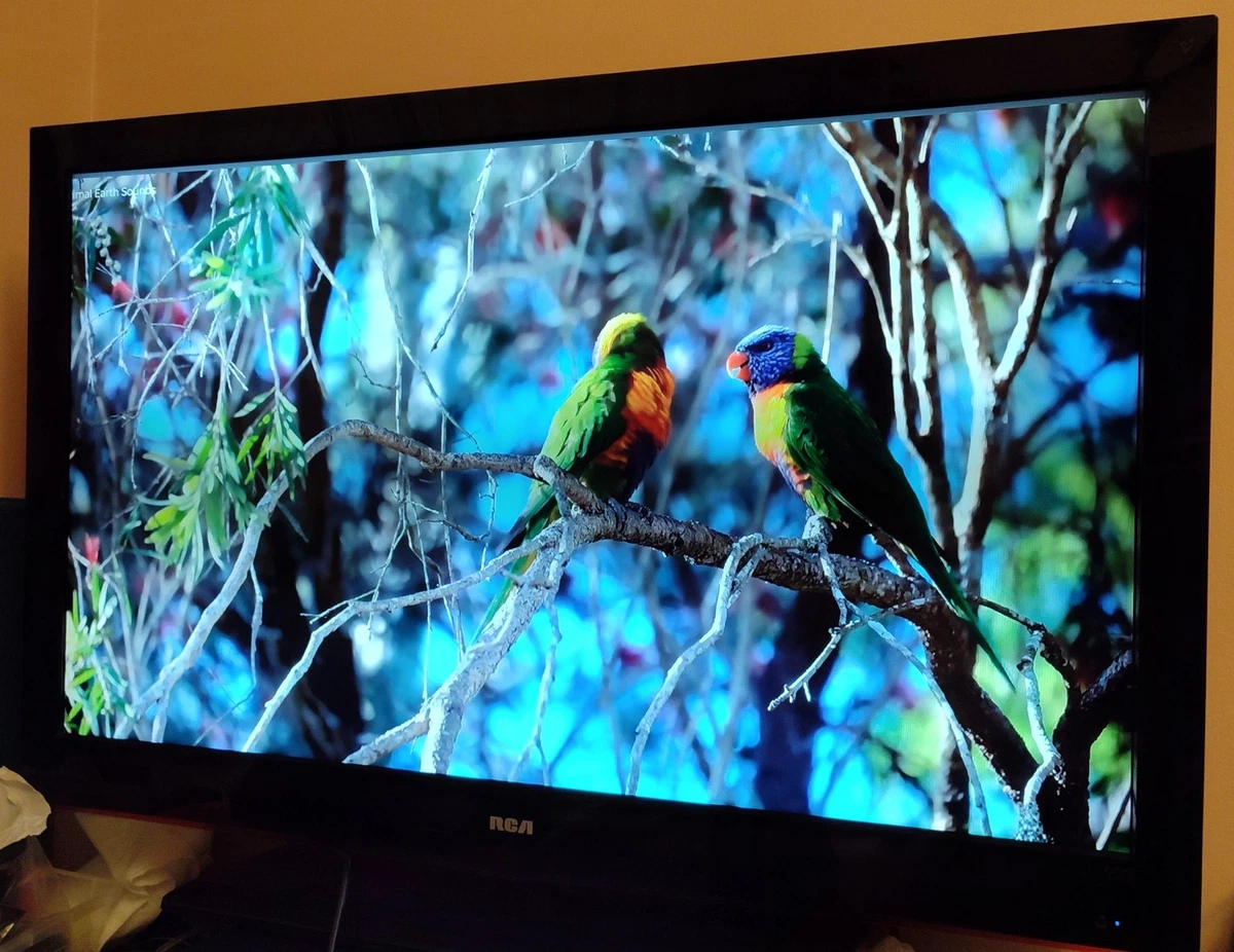 Preços baixos em RCA TVs de 40-49 Polegadas | eBay