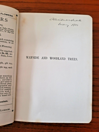 Wayside And Woodland Trees - A Pocket Guide To The British Sylva by Edward Step - Picture 3 of 4