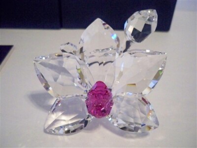 SWAROVSKI ORCHID BLOSSOM 864464 FUCHIA RAIN | eBay