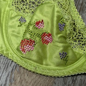 Aubade Paris Bra Lime Green Fruit Embroidered Lace 8513 D Size 32DD