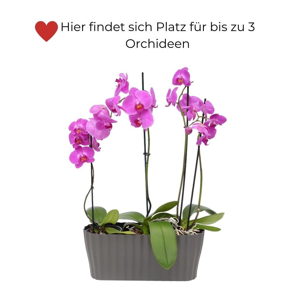 Bild 4 von 14