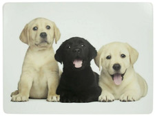 4er Set Tischsets Unterseite aus Kork abwischbar Hunde Labrador Mars & More