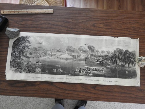 1869 Druck CENTRAL PARK Terrasse & Lake NEW YORK CITY A.C. Warren Appletons' - Bild 11 von 11