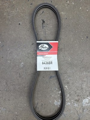 Gates 6436BR Belt 1-3/16'' X 56-1/2''  Bobcat 38212 Belt