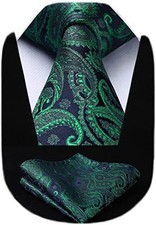 Extra Long Ties for Men Classic Floral Tie and XL,63 inches length C1-green
