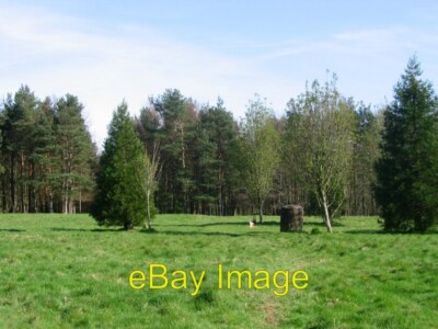Photo 6x4 Clearing in Binning Wood Tyninghame Binning Wood is famed for i c2005