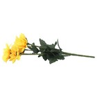 Bild 2 von 24