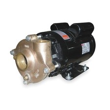 DAYTON 2ZWT2 Pump,1-1/2 HP,1 Ph115/230V AC 2ZWT2