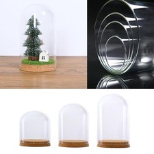 Clear  cloche dome  landscape terrarium container with wooden