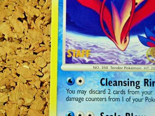 🌟STAFF PROMOS🌟 Pokemon TCG | Prerelease | City State Regional Championships | - Picture 22 of 45