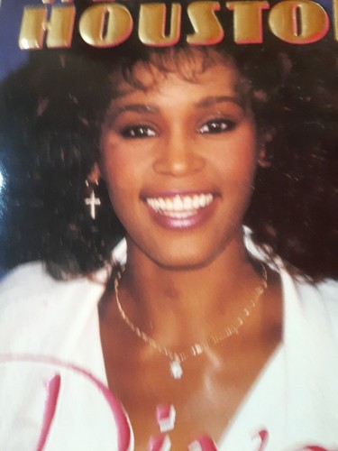 THE TOTALLY UNAUTHORIZED BIOGRAPHY OF WITHNEY HOUSTON - Foto 3 di 6