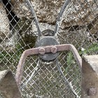 Bild 12 von 12