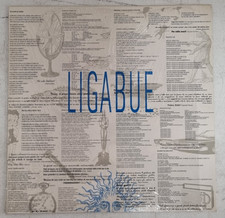 33 giri 12" Ligabue omonimo 1990 prima stampa ITA WEA color 90317 1560-1 NM/NM