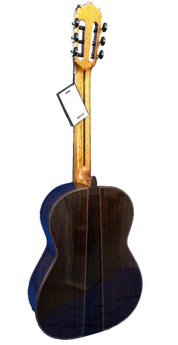Raimundo NX Concert Classical Guitar Madagascar + Double