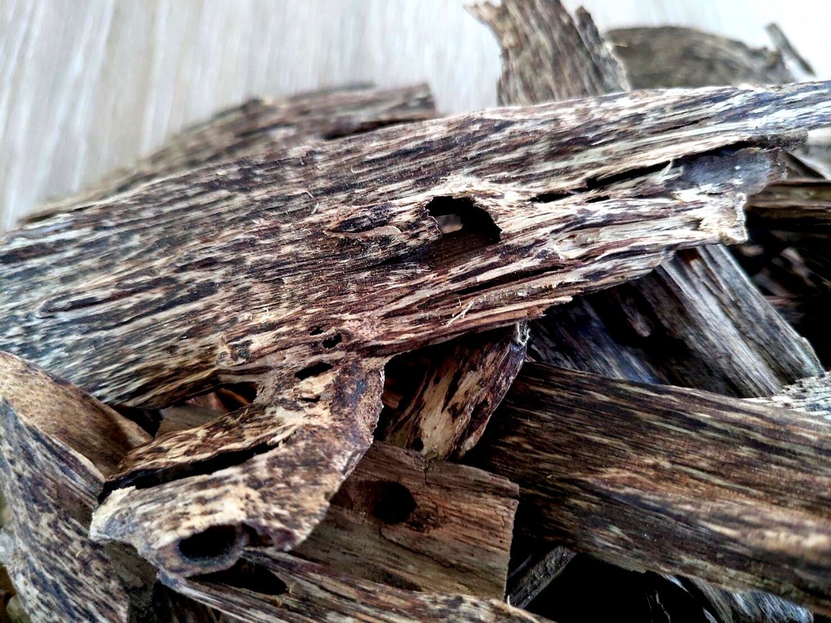 Oud wood Agarwood Chips Aquilaria wild natural Khao-Yai