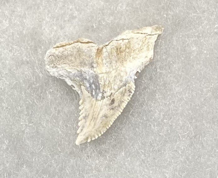 Picture 1 of 6