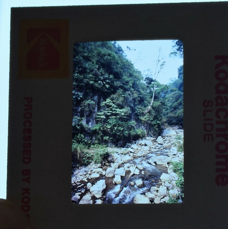 1981 35mm (7) SLIDES OF MEXICO