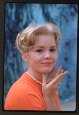 Tuesday Weld 1960's Orange Sweater Girl Photo Shoot Original 35mm