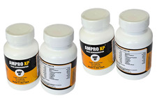 Paquete de rejuvenecimiento corporal avanzado AMPRO XP (cápsula 3X60)