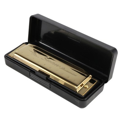 Swan Harmonica 10 Holes Key von C GOLD mit Case Blues Harp Metal Steel NEU I2D8