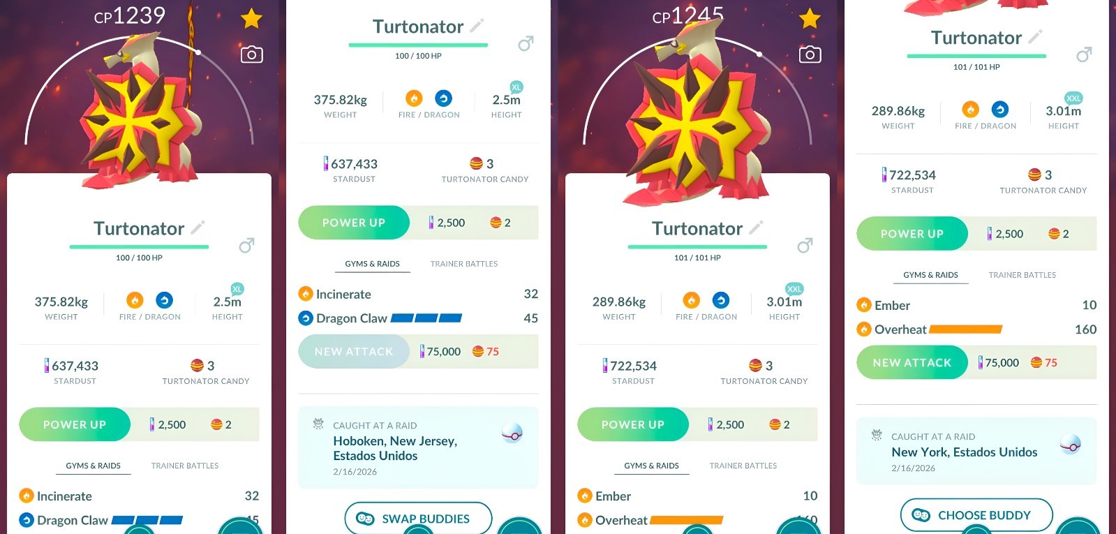 Turtonator XL, XXL, XXS | For exhibitions | Tr-de Go✨