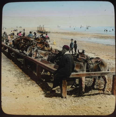 Foto ISLE OF MAN DOUGLAS ESEL AM STRAND Magische Laternendia um 1890 IOM