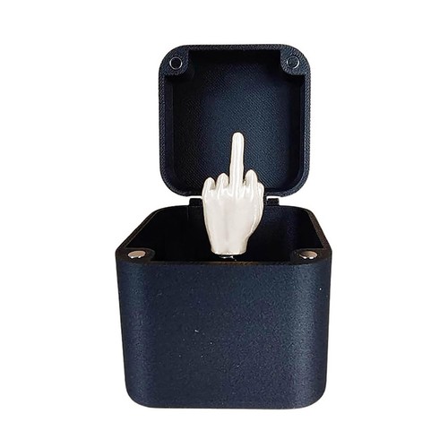 Middle Finger in a Box Middle Finger Surprise Gift Box Prank Annoying Gift Box - Picture 3 of 30