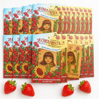 15 pcs LA CHICA FRESITA Fresa Strawberry Freshener Aromatizante Mexico Air carro