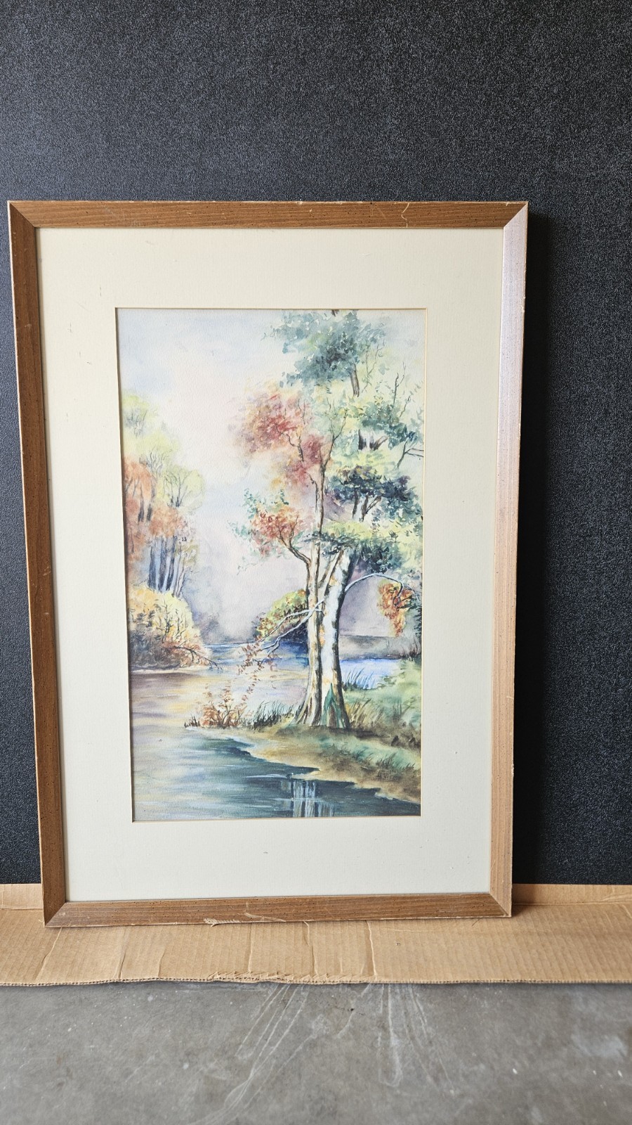 Picture 1 of 6