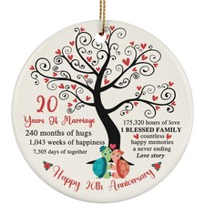 20 Years Love Ornament Happy 20th Anniversary Cute Turtle Couple Christmas Gifts