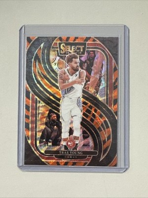 2024-25 Panini Select Trae Young Premier Level Tiger Stripe | eBay