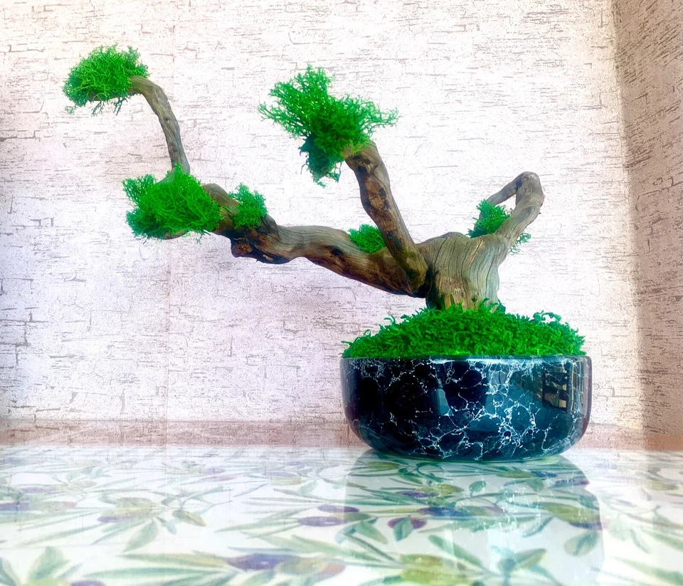 Керамическая ваза дерево мох искусство, реальный дерево ветви, ручной работы домашнего декора, природы декор - Изображение 2 из 4