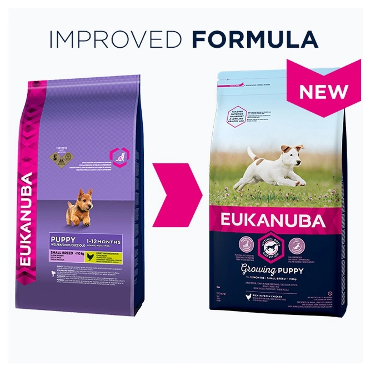 Eukanuba puppy small clearance breed