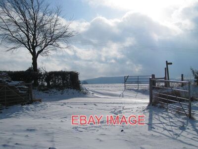 PHOTO  FROM ONE FIELD TO ANOTHER A VIEW ACROSS THE SNOW-PACKED ROAD TOWARDS THE