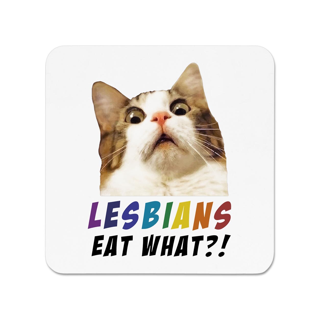Lesbians Eat What Fridge Magnet Gay Valentines Girlfriend Cat Pussy Funny Joke