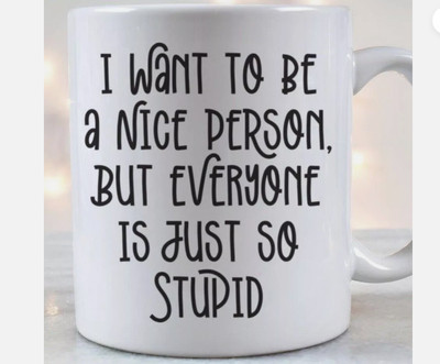 Funny Coffee Mug I Want To Be A Nice Person Everyone Stupid Sarcasm Gift, 11 OZ