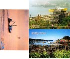 MAINE LOBSTER (3) Mint Continental Chrome Postcards Lot #20