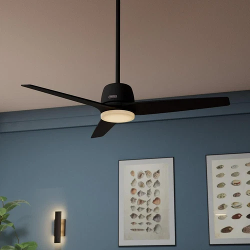 Hunter + Jasmine Roth 52 Malden Ceiling Fan W/ LED Light, Remote - Casual, - - Picture 1 of 24