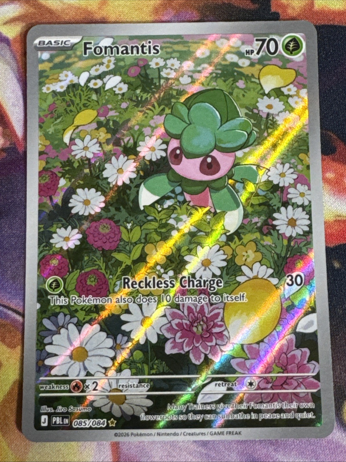 Fomantis 085/084 Pitch Black Illustration Rare IR Holo Pokemon TCG NM