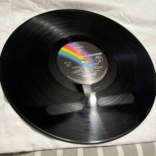 Cher Half-Breed Vinyl LP Original 1973 Pressing, MCA records MCA-2104 - Picture 4 of 8