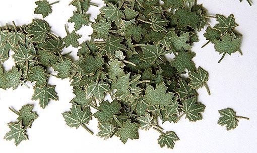 Plus Model 253 - 1:35 Accessories Green Walnut Leaves