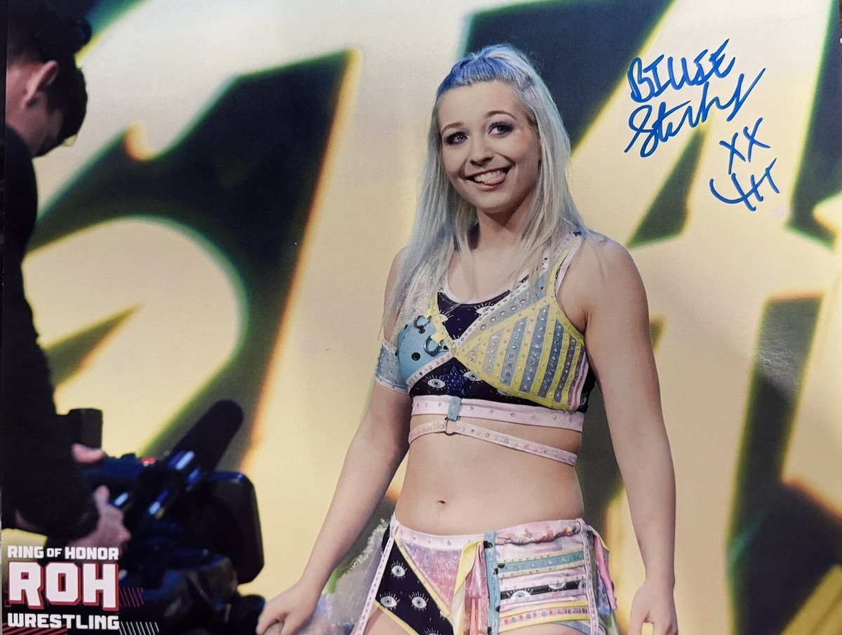【値下げ】WWE NXTスーパースター　直筆サインポスター 値下げ】WWE NXTスーパースター 直筆サインポスター Signed
