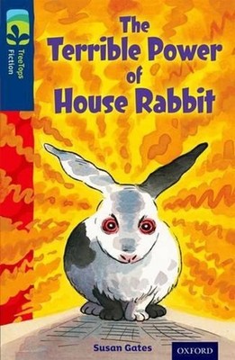 Oxford Reading Tree TreeTops Fiction: Level 14 More Pack A: The Terrible Power o